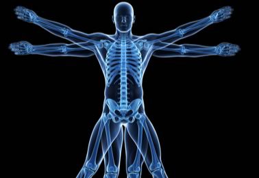 Full Body Mobility and Flexibility Physical Therapy Program