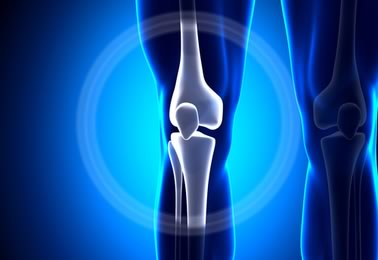 Knee Pain Physical Therapy Program