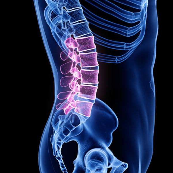 Pelvic Floor Exercise Program to help with urination or bowel movement issues